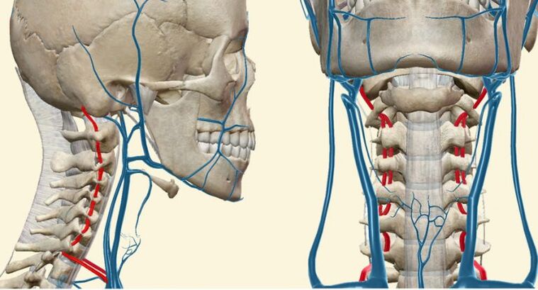 Sindrome vascolare nell'osteocondrosi
